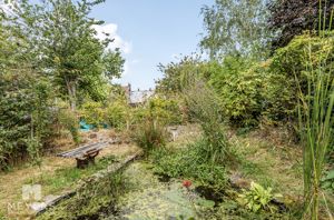 Photo 15- click for photo gallery